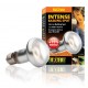 EXO TERRA Intense lempa, 50 W